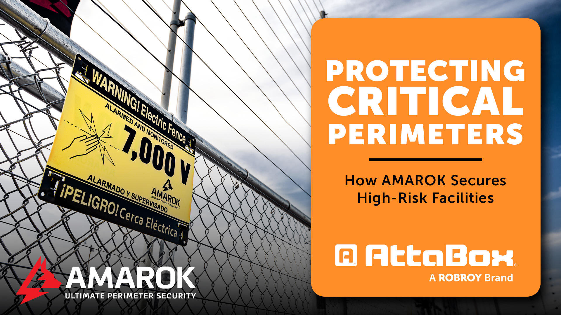AMAROK Case Study thumbnail